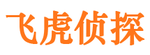 平武市调查公司